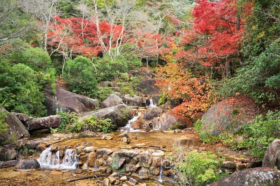 View of a mountain stream and trees with autumn foliage on Miyajima island.
The beautiful Japanese island offers many picturesque spots for photography.