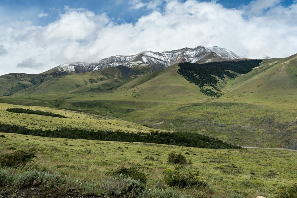 Renting a car and driving in Patagonia: a complete guide torres view a view of meadows and mountains in Torres del Paine national park in Chilean Patagonia, taken from a random stop with a rental car
