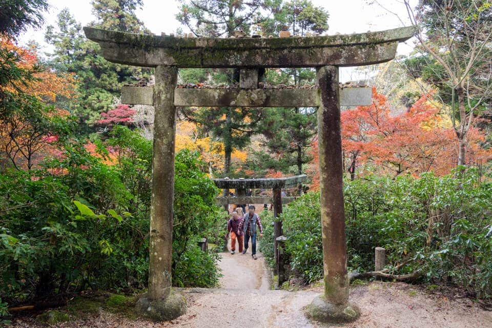 mount misen hike with torii gates