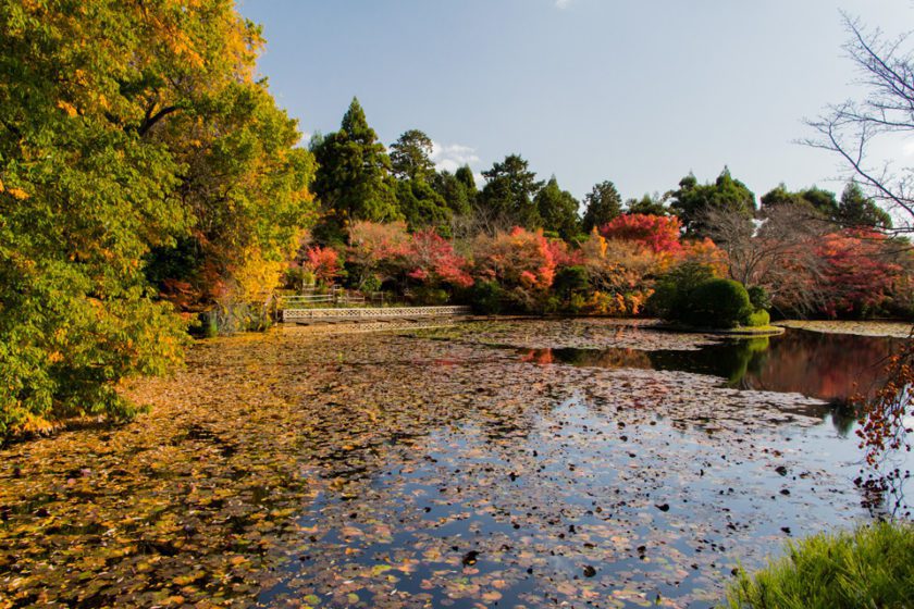 a garden by the silver pavillion in kyoto japan